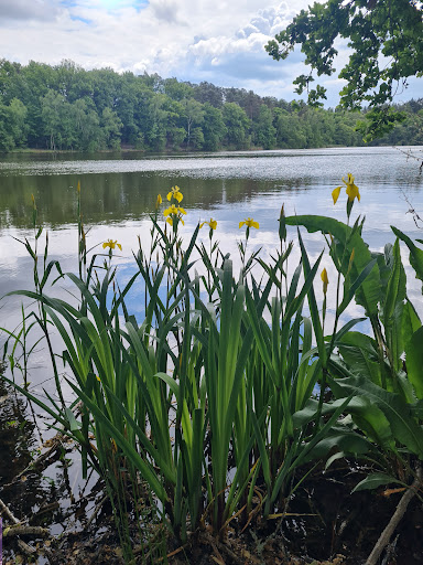 Photo from customer review