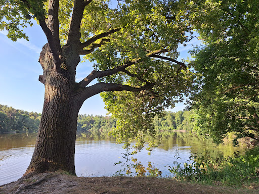 Photo from customer review