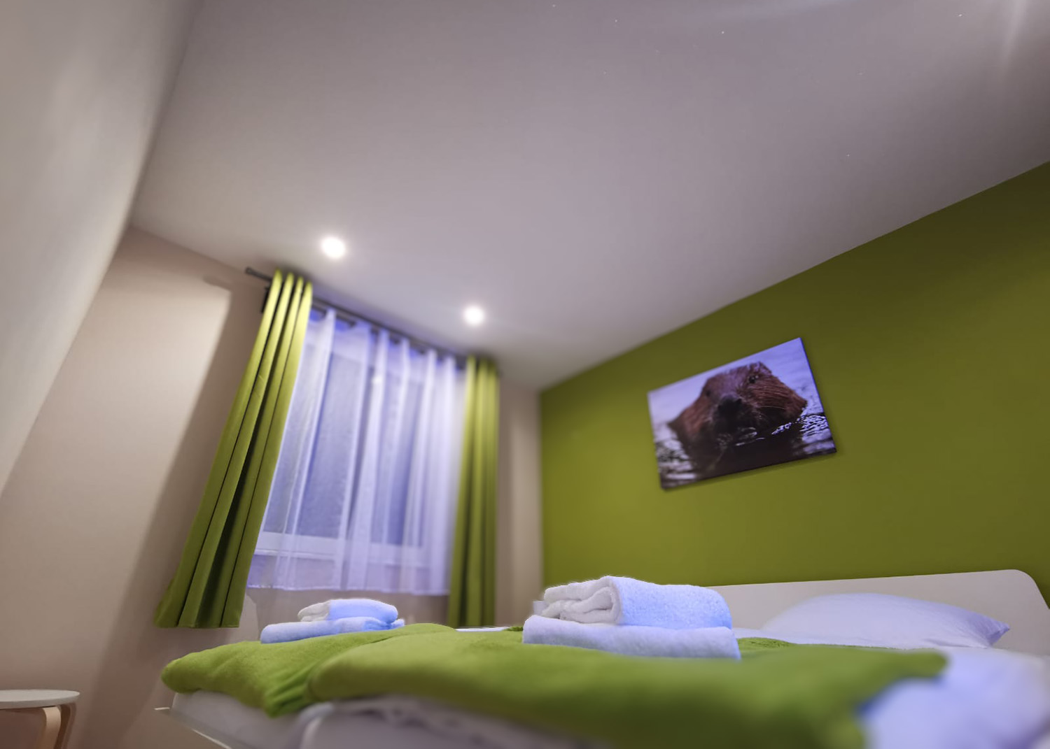 Sternendecke mit eingeschalteter Beleuchtung