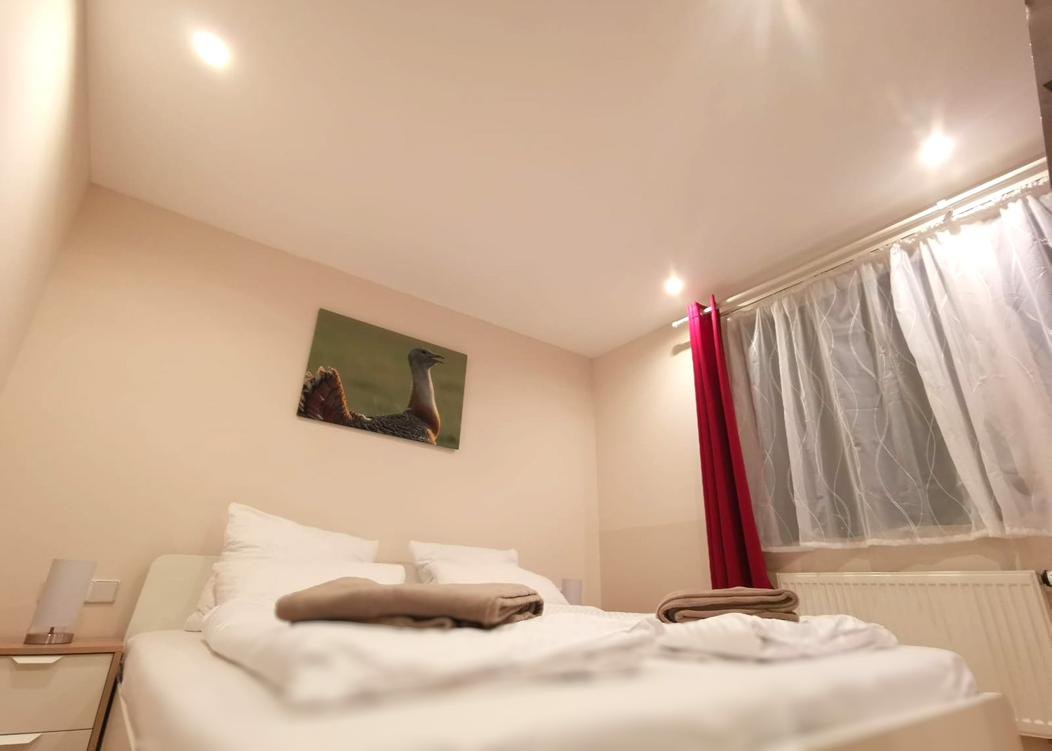 Sternendecke mit eingeschalteter Beleuchtung